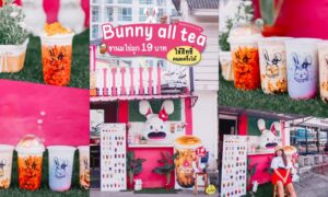 Bunny All Tea – ชาไข่มุกกระต่าย – เมืองภูเก็ต