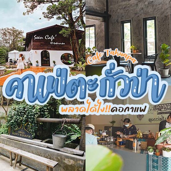 29 คาเฟ่ตะกั่วป่า 2025 ที่ต้องมาเช็คอินในย่านเมืองสุดชิคค์!