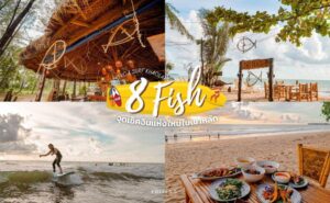 8 Fish Bistro and Surf Khaolak จุดเช็คอินใหม่ พังงา