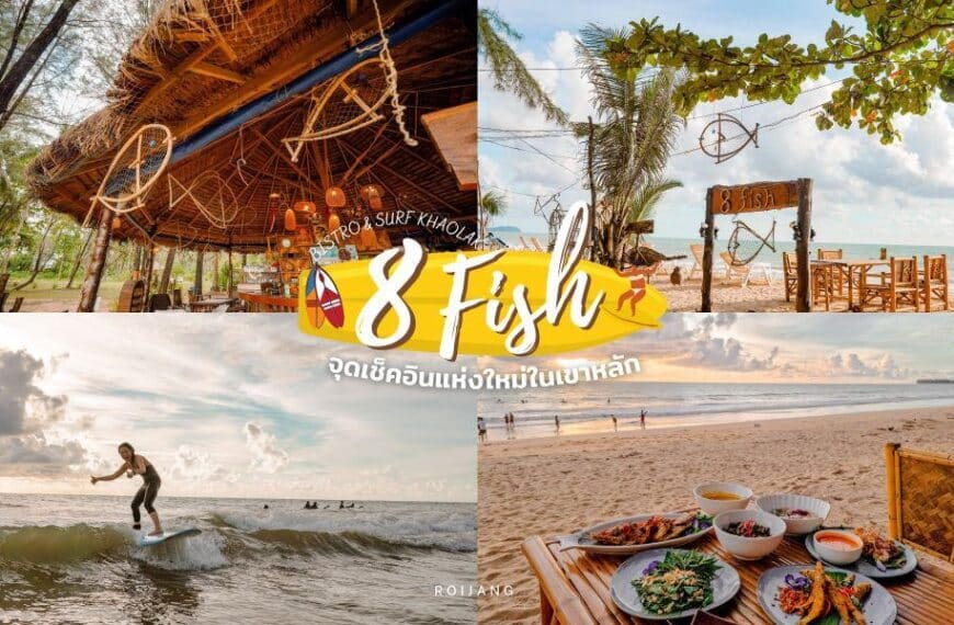 8 Fish Bistro and Surf Khaolak จุดเช็คอินใหม่ พังงา