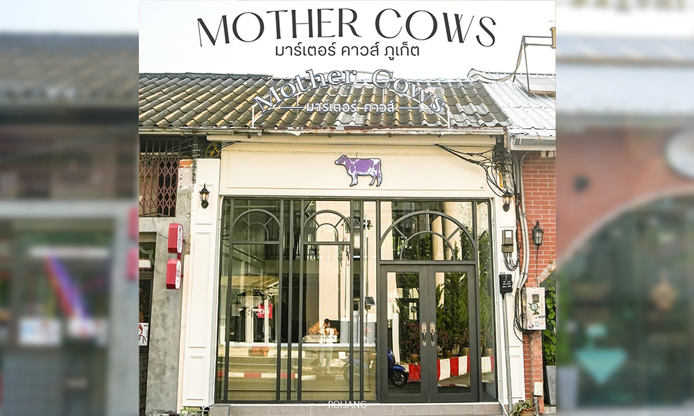 ด้านหน้าร้าน "Mother Cows" คาเฟ่ภูเก็ต มีประตูกระจกที่หรูหรา และโลโก้วัวสีม่วงอันโดดเด่น พร้อมป้ายต้อนรับทั้งภาษาอังกฤษและภาษาไทยด้านบน.