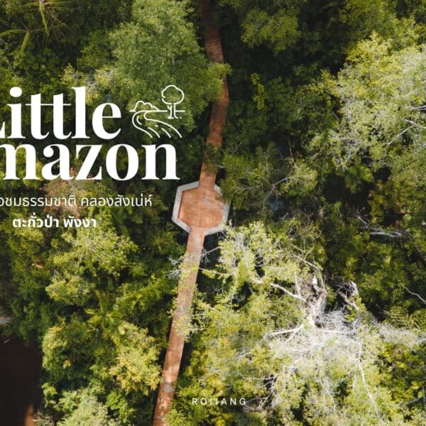 คลองสังเน่ห์ The Little Amazon ตะกั่วป่า พังงา