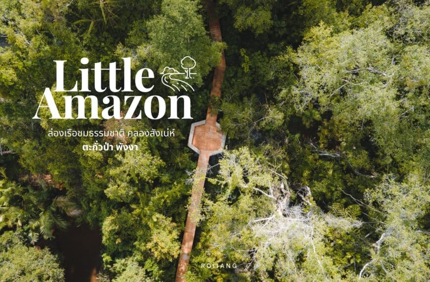 คลองสังเน่ห์ The Little Amazon ตะกั่วป่า พังงา