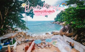 Cafe Flower Mountain Beach หาดกะหลิม ภูเก็ต