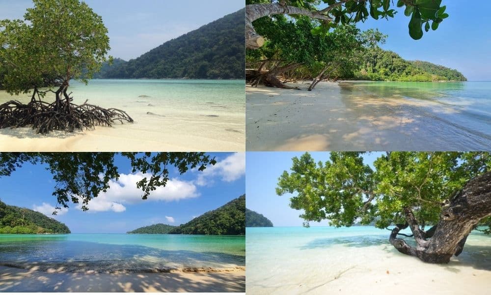 เกาะ สุรินทร์ pantip