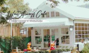 เสมอ Wait Always Cafe คาเฟ่สไตล์บ้านสีขาว สามกอง ภูเก็ต