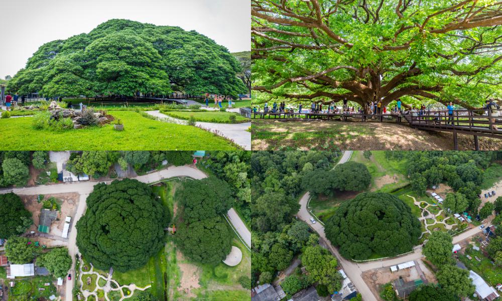 ที่เที่ยวกาญจนบุรี