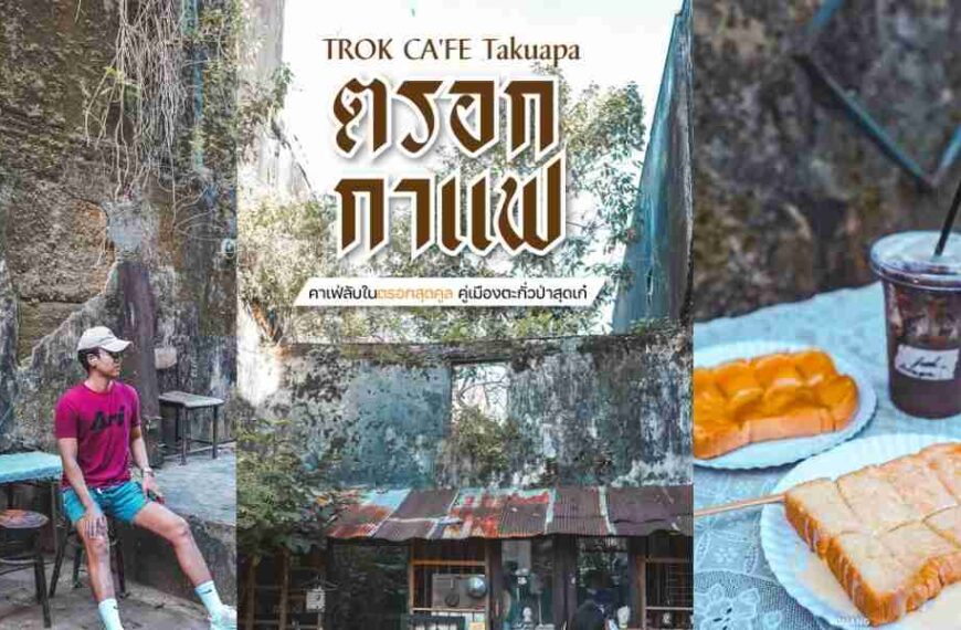 TROK CAFE Takuapa คาเฟ่ลับในตรอกสุดคูล ตะกั่วป่า พังงา