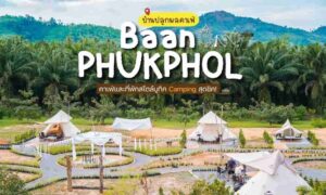 บ้านปลูกผลคาเฟ่ สไตล์บูทิค Camping สุดชิค พังงา