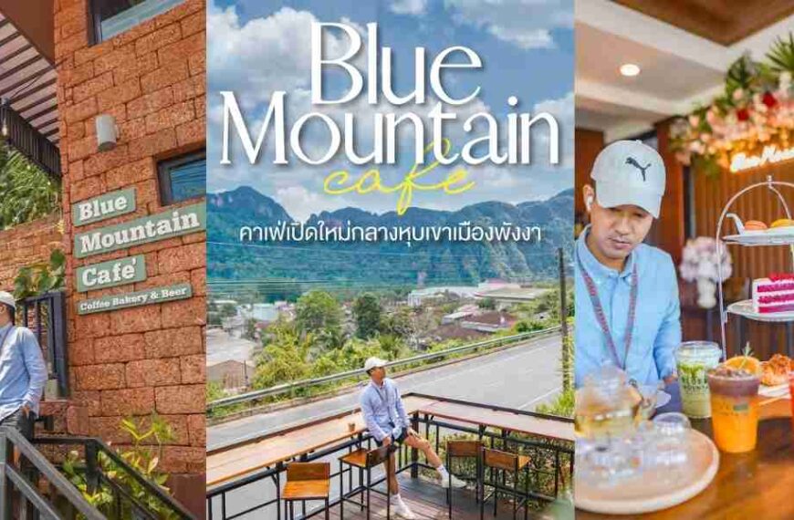 Blue Mountain Cafe คาเฟ่สุดชิล กลางหุบเขาเมือง พังงา