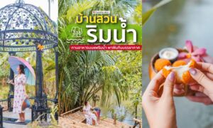 ร้านอาหารบ้านสวนริมน้ำ บางทอง ท้ายเหมือง พังงา