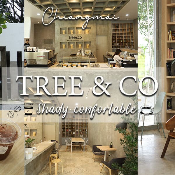 TREE & CO คาเฟ่ใกล้ มหาลัยแม่โจ้ สุดอาร์ต เชียงใหม่