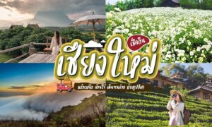 ภาพตัดต่อของทิวทัศน์เชียงใหม่: ทิวทัศน์ภูเขา, ทุ่งดอกไม้, ป่าไม้หมอก, และผู้หญิงกำลังถ่ายรูป, พร้อมข้อความภาษาไทยขนาดใหญ่ในกลางภาพที่ระบุว่า ที่เที่ยวเชียงใหม่.