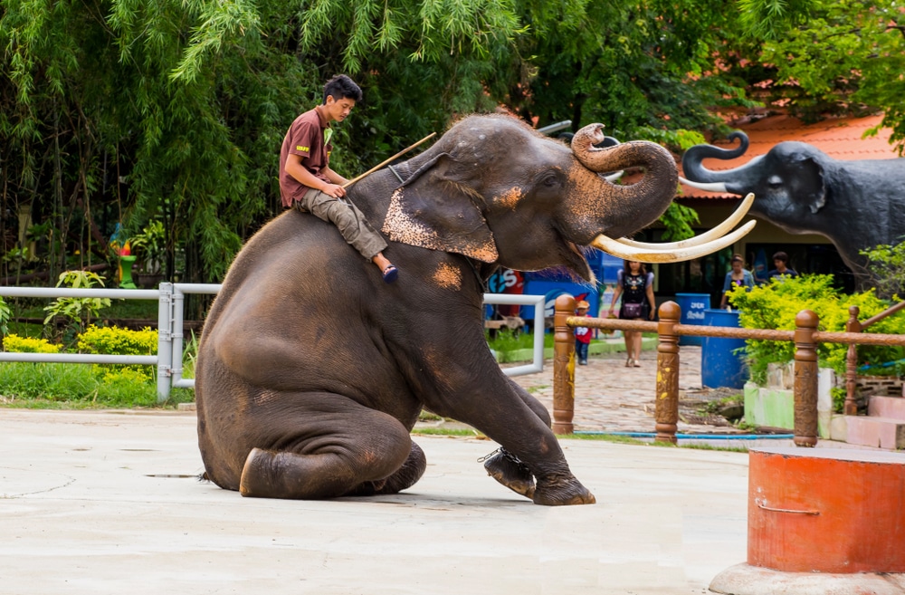 ที่เที่ยวกาญจนบุรี สวนสัตว์ใกล้กรุงเทพ