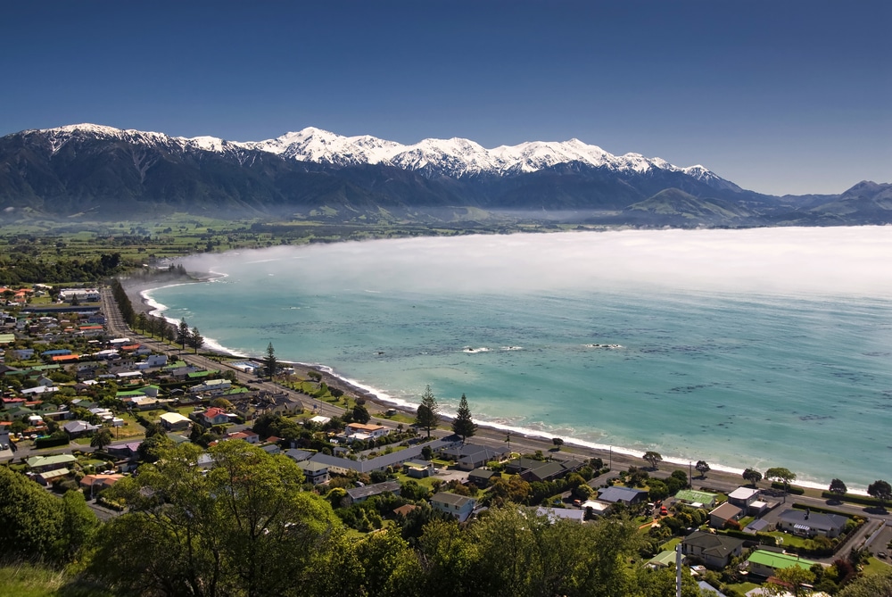 มอง ที่เที่ยวนิวซีแลนด์ เห็นวิวทะเลและภูเขาจากบนเนินเขา