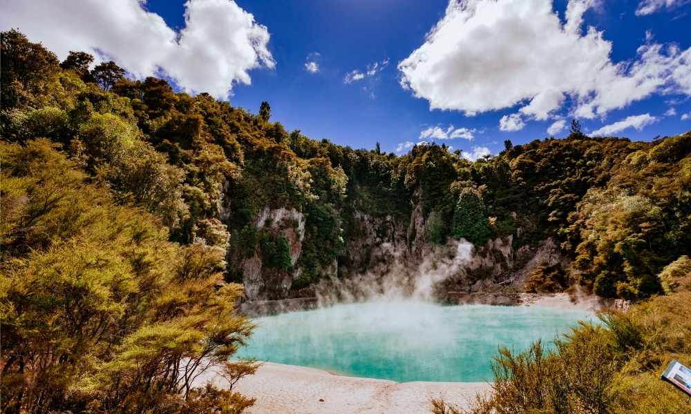 สระ เที่ยวนิวซีแลนด์ น้ำสีฟ้าล้อมรอบด้วยต้นไม้