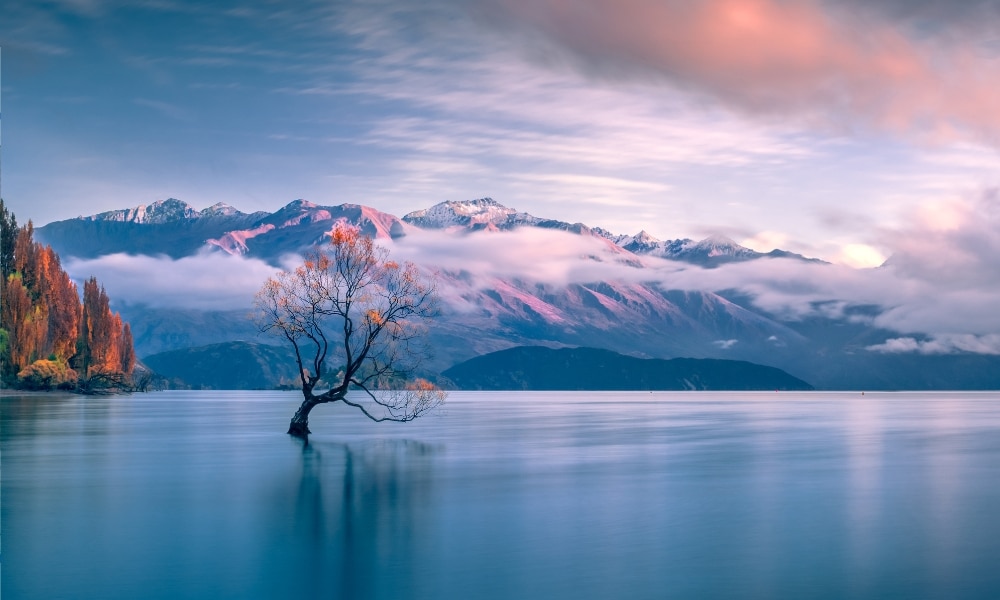 ต้น สถานที่ท่องเที่ยวนิวซีแลนด์ ไม้โดดเดี่ยวกลางทะเลสาบที่มีฉากหลังเป็นภูเขา