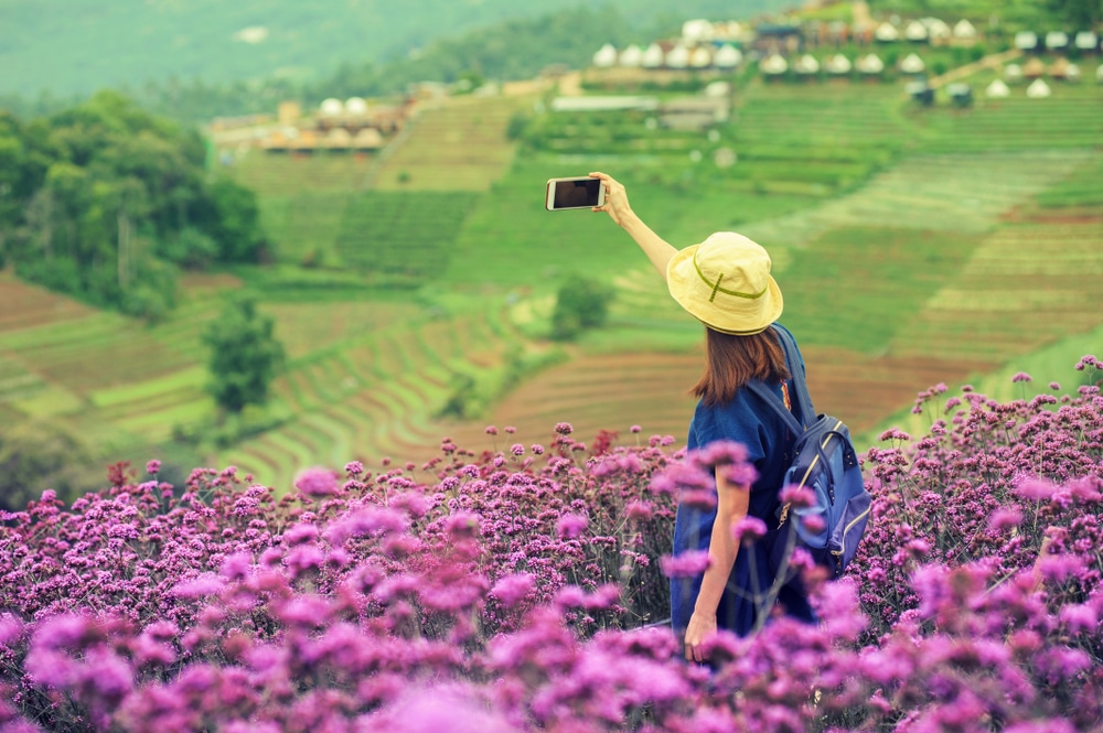 ผู้หญิงกำลังถ่ายรูป ที่เที่ยวสะเมิง ทุ่งดอกไม้