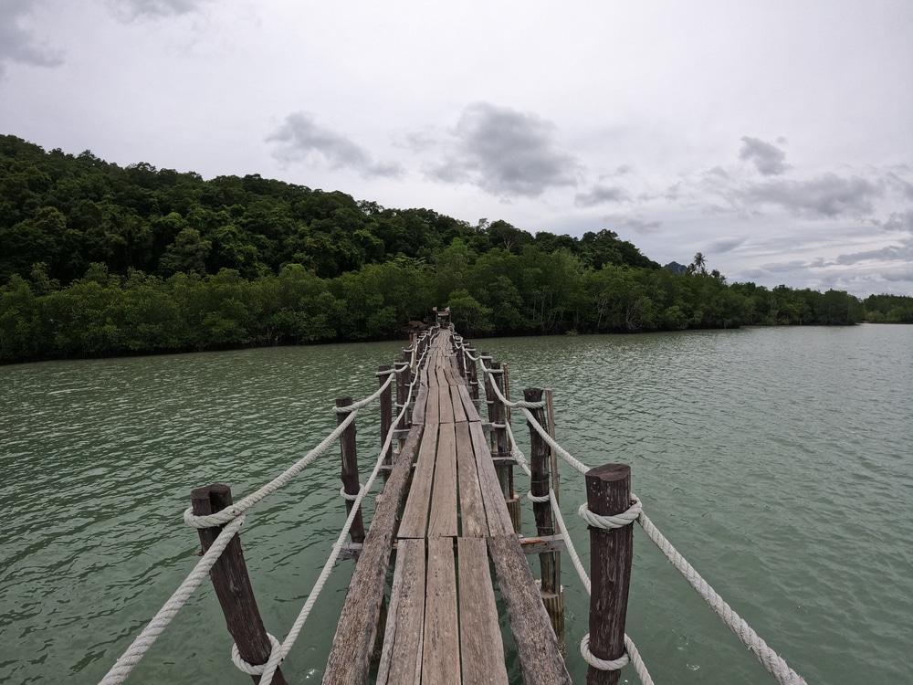 สะพานไม้เหนือผืนน้ำ สถานที่ท่องเที่ยวทุ่งสง