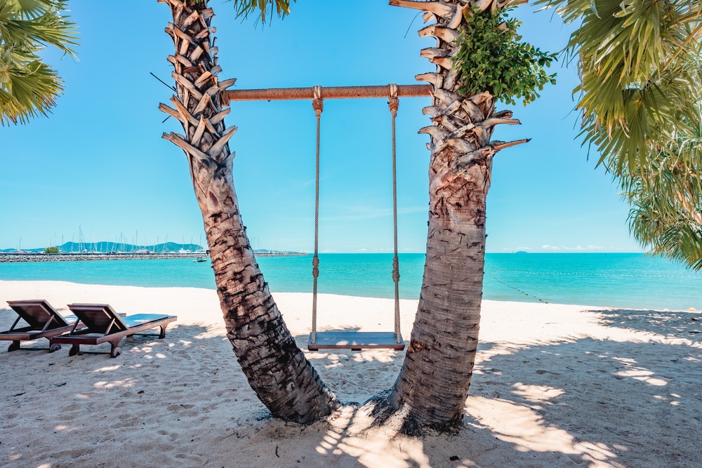ต้นปาล์มสองสาม หาดจอมเที ยน ต้นตั้งอยู่บนหาดทราย ที่เที่ยวชลบุรี