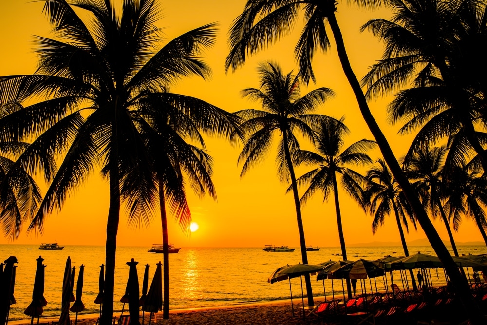 พระอาทิตย์กำลังลับ ที่เที่ยวชลบุรี หาดจอมเที ยน ขอบฟ้ากับต้นปาล์ม