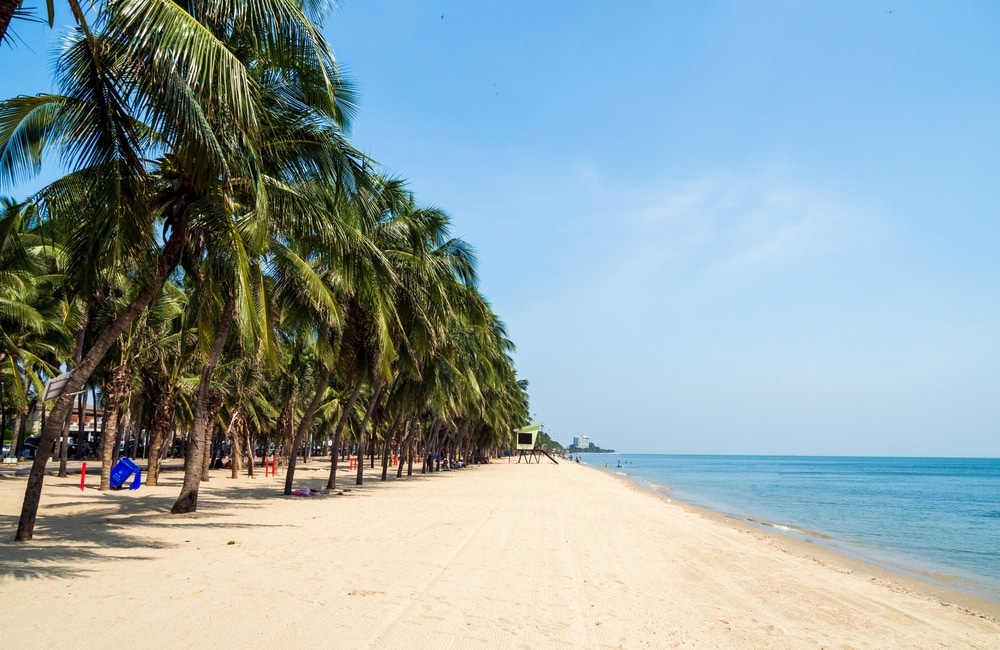 ชายหาด ที่เที่ยวชลบุรี ที่มีต้นปาล์มและผู้คนเดินไปมา