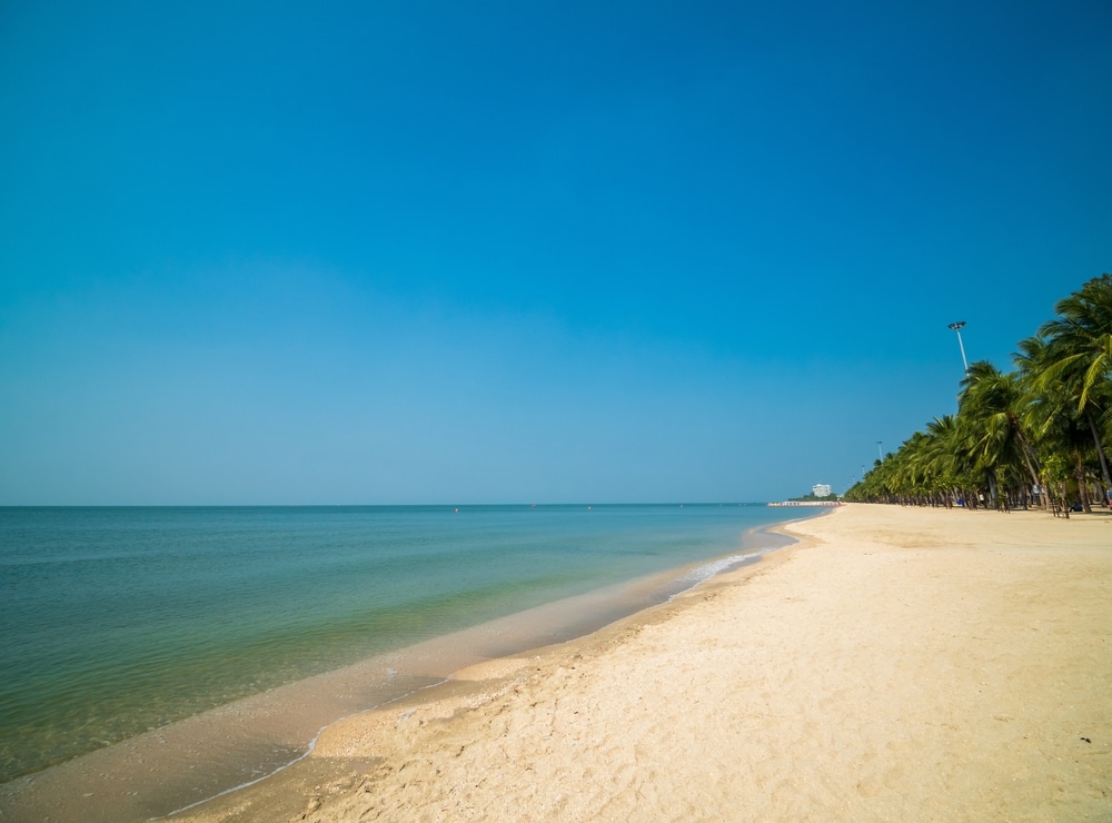 หาดทรายที่มีต้นปาล์ม บางแสน และน้ำทะเลสีฟ้าใส ที่เที่ยวชลบุรี