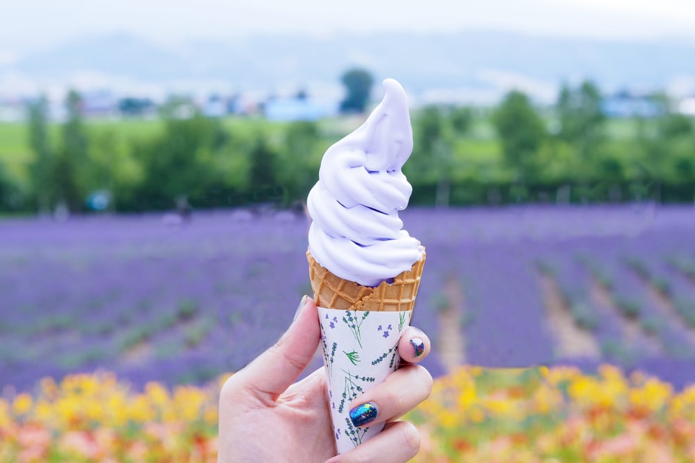มือถือโคน เที่ยวฮอกไกโด ไอศกรีมอยู่หน้าทุ่งดอกไม้