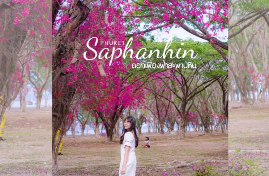 หญิงสาวในชุดสีขาวยืนอยู่ใต้ต้นไม้สีชมพู