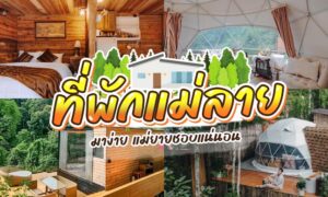 ที่พักแม่ลาย