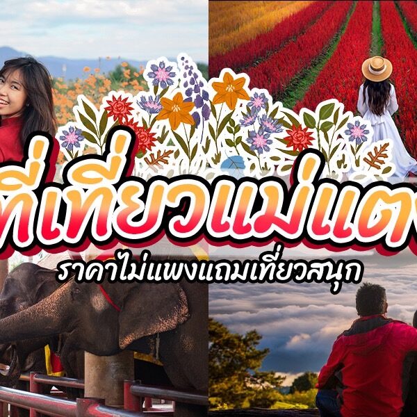 ภาพปะติดกับคนขี่ช้าง