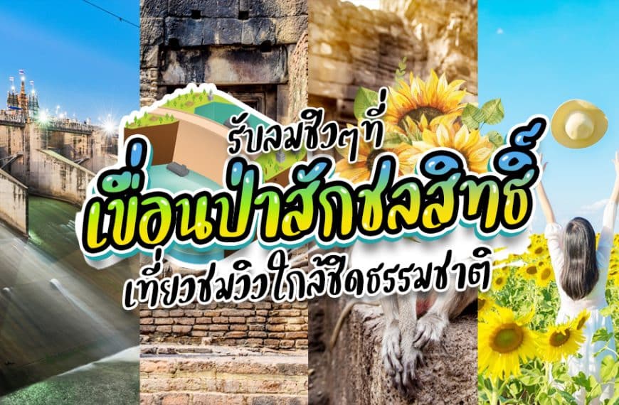 น้ำตกที่สวยงามที่สุดในประเทศไทย ได้แก่ ป่าสักชลสิทธิ์และเขื่อนป่าสักชลสิทธิ์