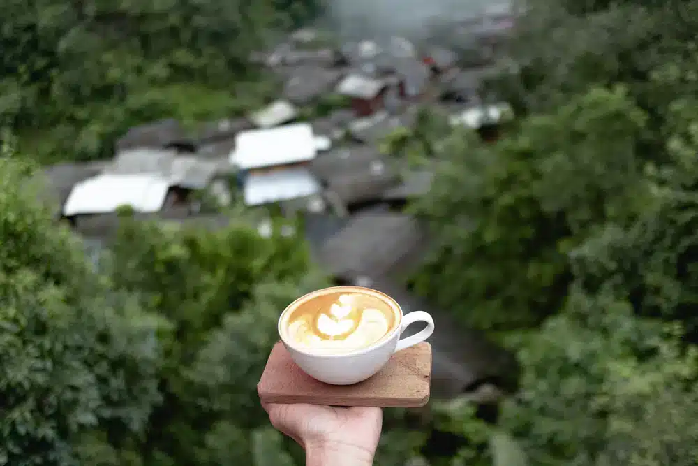 คนถือถ้วยกาแฟที่สถานที่ท่องเที่ยวในแม่กำปอง ที่เที่ยวแม่กำปอง