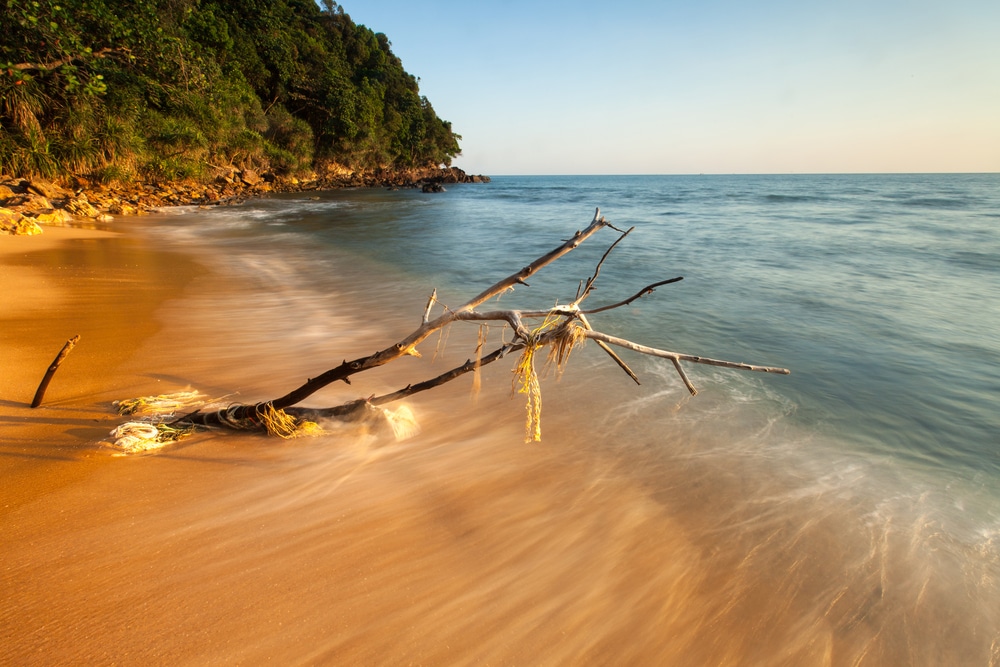 ต้นไม้ล้มทับหาดทรายแหล่งท่องเที่ยวจันทบุรี เที่ยวจันทบุรี