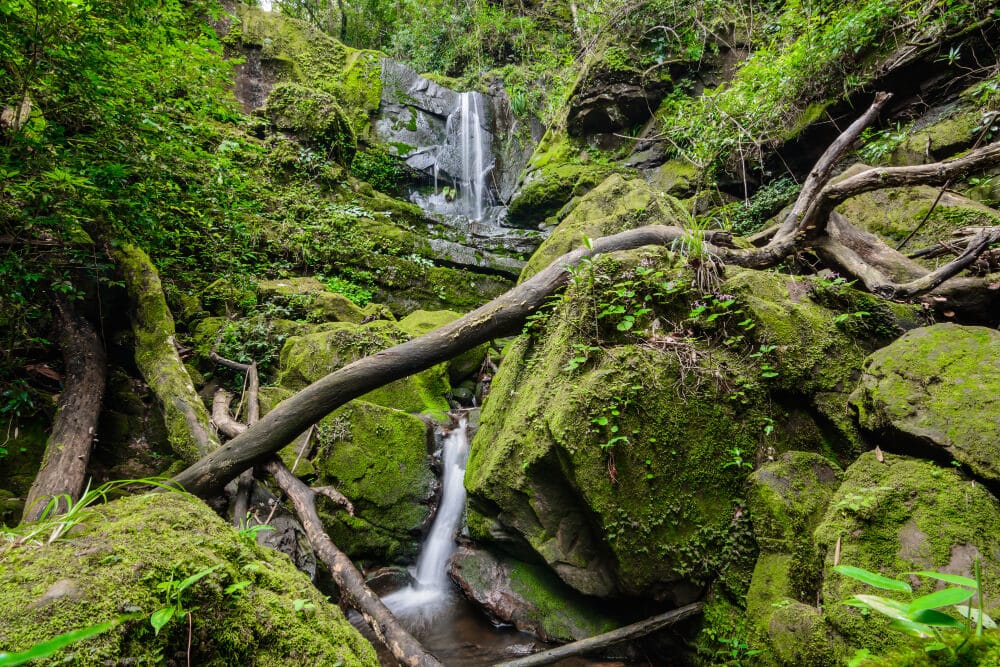 น้ำตกอันเงียบสงบที่ซ่อนตัวอยู่ลึกเข้าไปในป่าเขียวขจีของจันทบุรี จันทบุรีที่เที่ยว