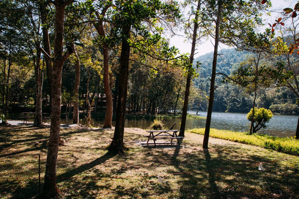 ม้านั่งในสวนสาธารณะอันเงียบสงบที่อิงแอบอยู่ริมทะเลสาบที่งดงามร่มรื่นด้วยต้นไม้เขียวขจี: สถานที่ท่องเที่ยวจันทบุรี, เท สถานที่ท่องเที่ยวจันทบุรี