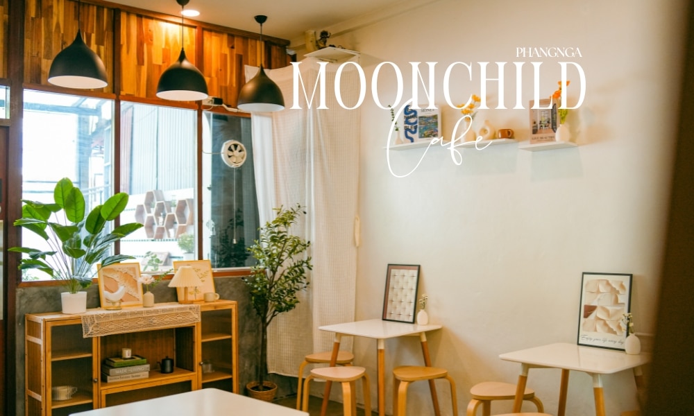 มุมมองภายในร้าน Moonchild Café ในพังงา หรือ คาเฟ่พังงา ตกแต่งด้วย คาเฟ่พังงา เฟอร์นิเจอร์ไม้ งานศิลปะในกรอบ กระถางต้นไม้ และโคมไฟแขวน