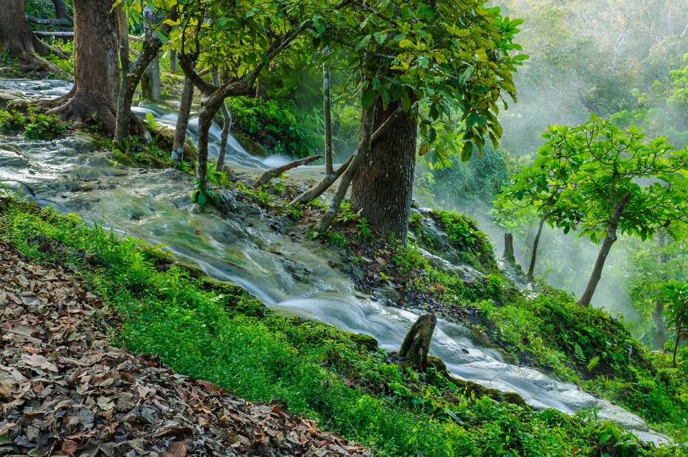 ลำธารในป่ากาญจนบุรี น้ำตกเชียงใหม่สวยๆ