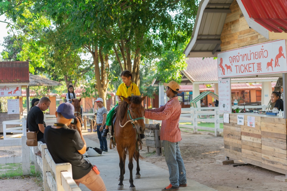 กลุ่มคนยืนล้อมม้าสีน้ำตาลที่แหล่งท่องเที่ยวพัทย าใต้ ที่เที่ยวพัทยา ใต้ ที่เที่ยวชลบุรี
