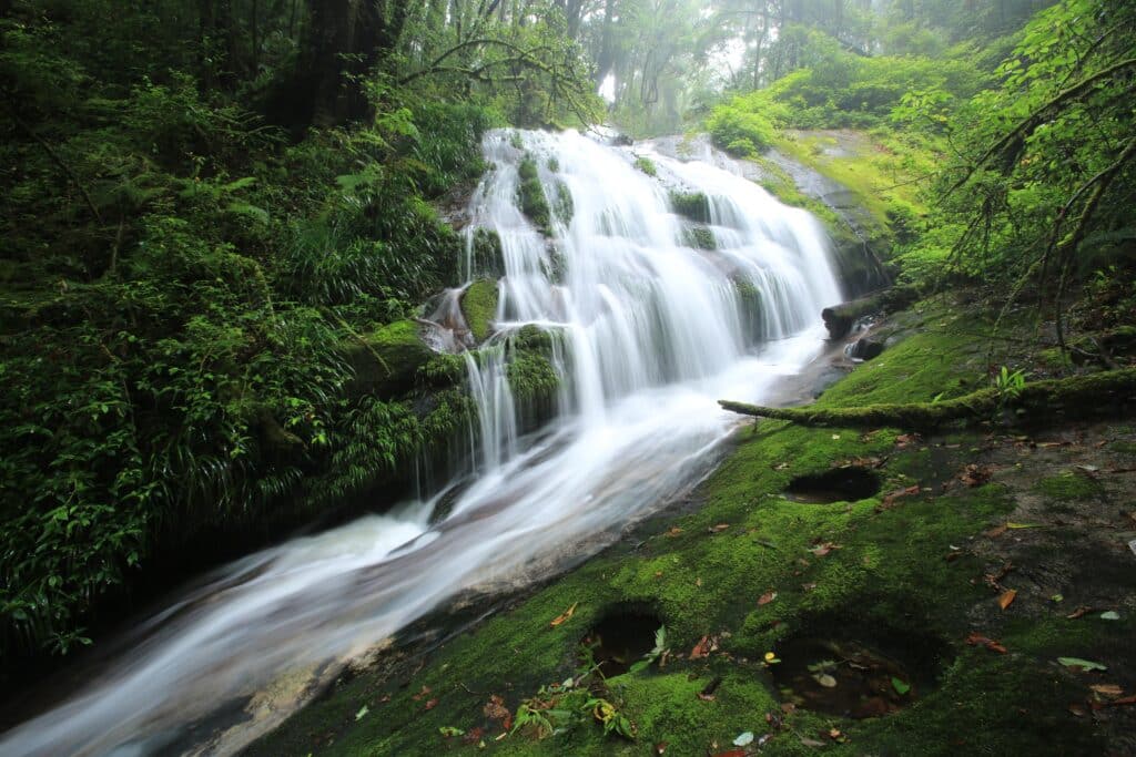 น้ำตกที่สวยงามท่ามกลางป่าเขียวขจีของเชียงใหม่ น้ำตกเชียงใหม่สวยๆ