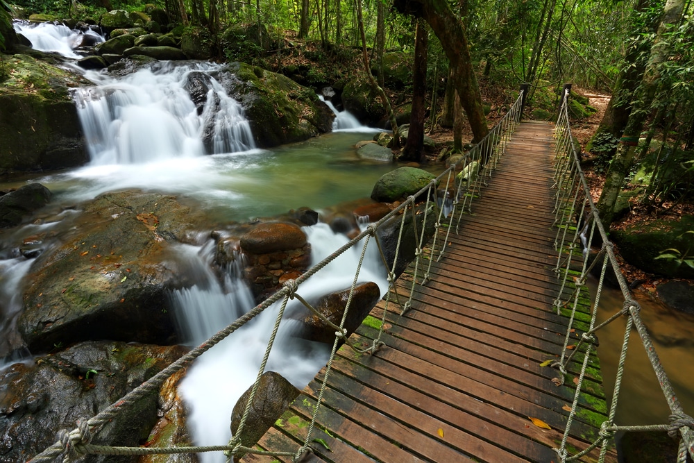 สะพานข้ามลำธารในป่าใกล้น้ำตกจันทบุรี