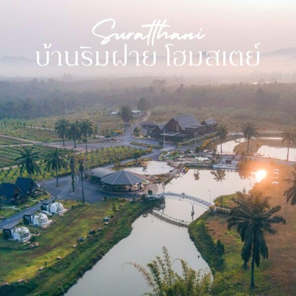 ขออภัย คำหลักที่ระบุไม่เกี่ยวข้องกับคำอธิบายที่ให้ไว้ โปรดระบุคำหลักที่เหมาะสมเพื่อแก้ไขคำอธิบาย