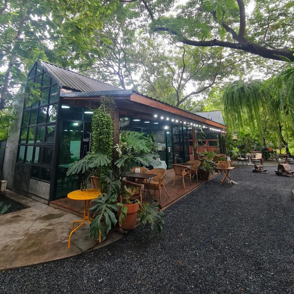 ร้านอาหารที่มีโต๊ะและเก้าอี้อยู่ สถานที่ท่องเที่ยวปทุมธานี กลางพื้นที่ป่า