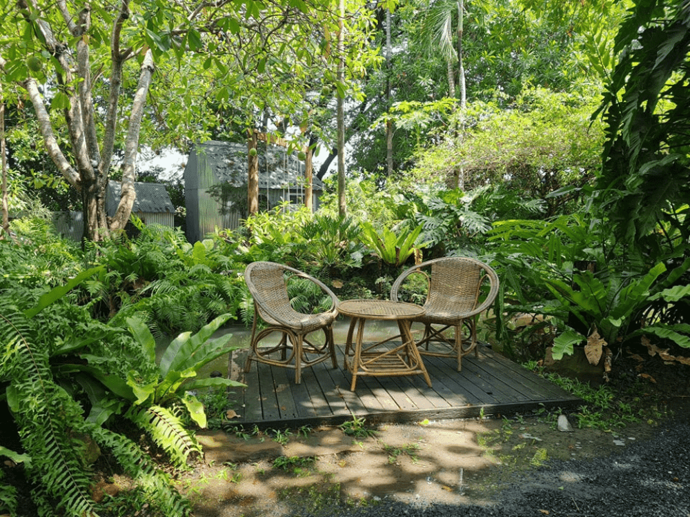 เก้าอี้หวายสองตัวนั่งบนชานไม้ในสวนเขตร้อน สถานที่ท่องเที่ยวปทุมธานี