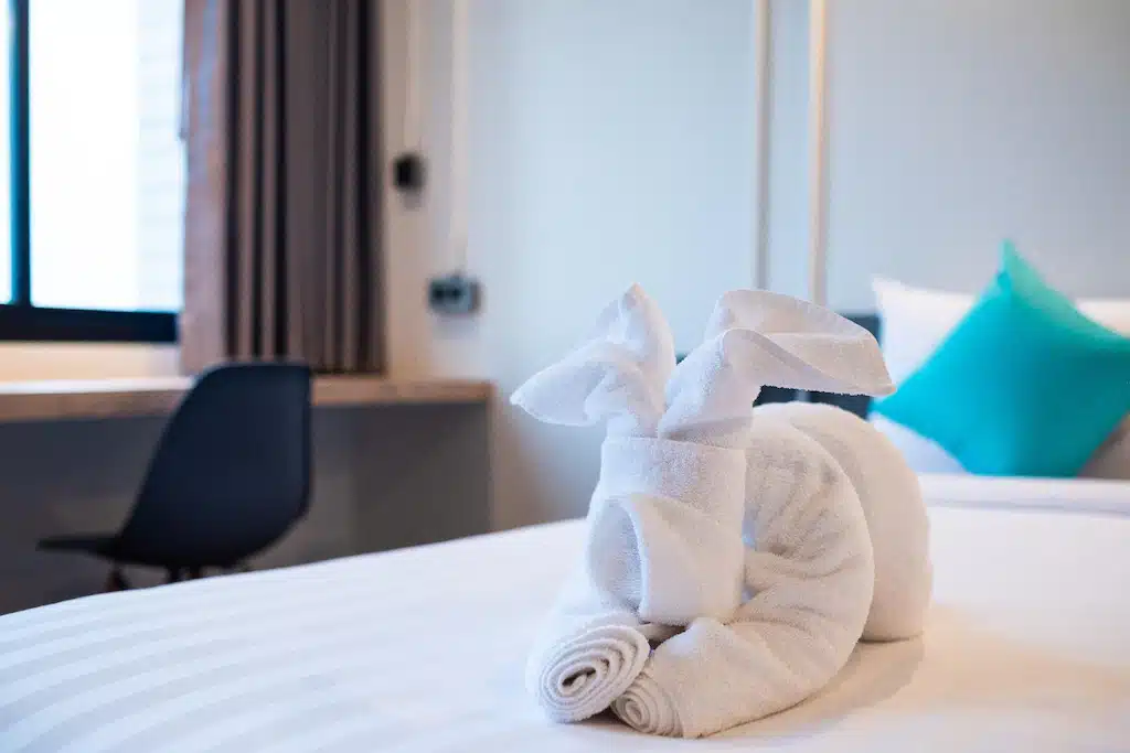 กระต่ายผ้าขนหนูบนเตียงในห้องพักโรงแรม สุราษฎร์ธานีที่เที่ยว