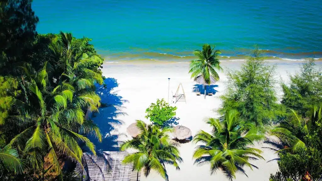 ภาพมุมสูงของชายหาดที่มีต้นปาล์มตั้งอยู่ในรีสอร์ทติดทะเลระยอง ที่พักท่าศาลา