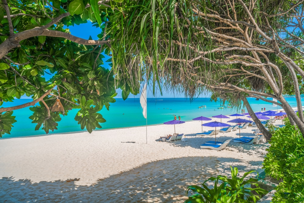 ชายหาดที่มีร่มและเก้าอี้ สถานที่ท่องเที่ยวสุราษฎร์ธานี
