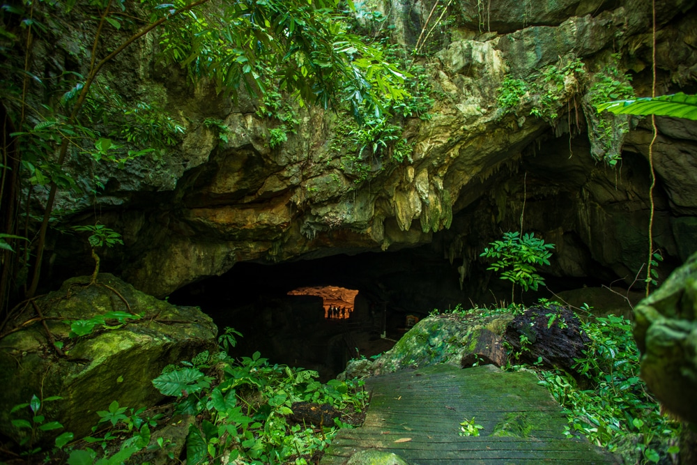 ทางเข้าถ้ำในป่า สุราษฎร์ธานีที่เที่ยว