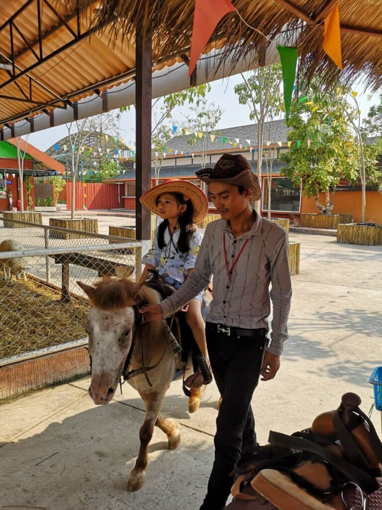 ชายและหญิงขี่ม้าในสวนสัตว์ เที่ยวอัมพวา
