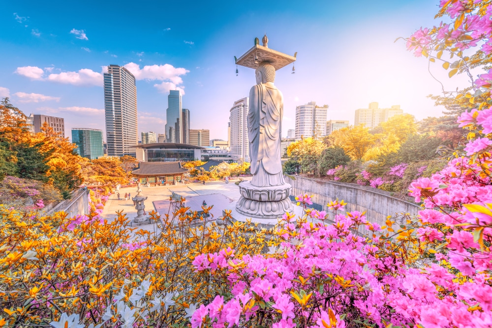 พระพุทธรูปในสวนสาธารณะที่ประดับประดาด้วยดอกไม้เป็นสถานที่ท่องเที่ยวยอดนิยมในเกาหลี ที่เที่ยวเกาหลี